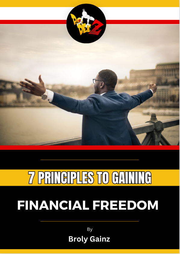 7 Principles to Gaining Financial Freedom  E-BOOK